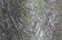 Bettyhill fibreglass roof work